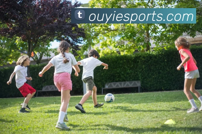 欧亿电竞平台APP 封面图